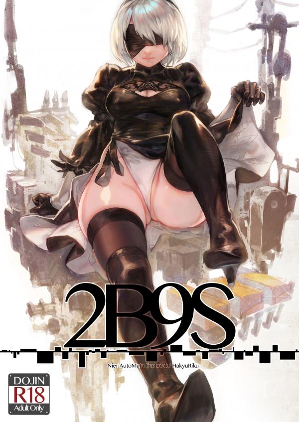 NieR: Automata - 2B9S (Doujinshi) NieR: Automata - 2B9S (Doujinshi)