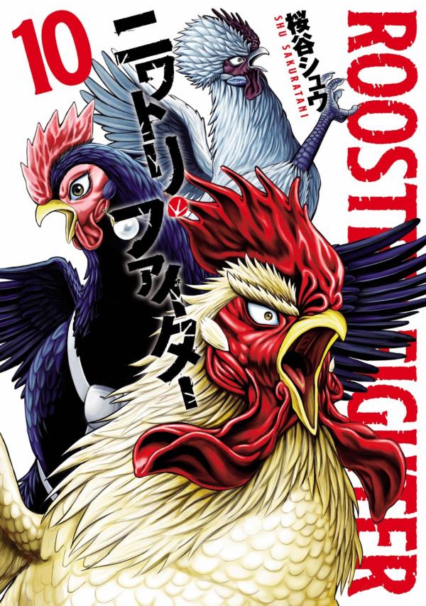 Rooster Fighter Rooster Fighter